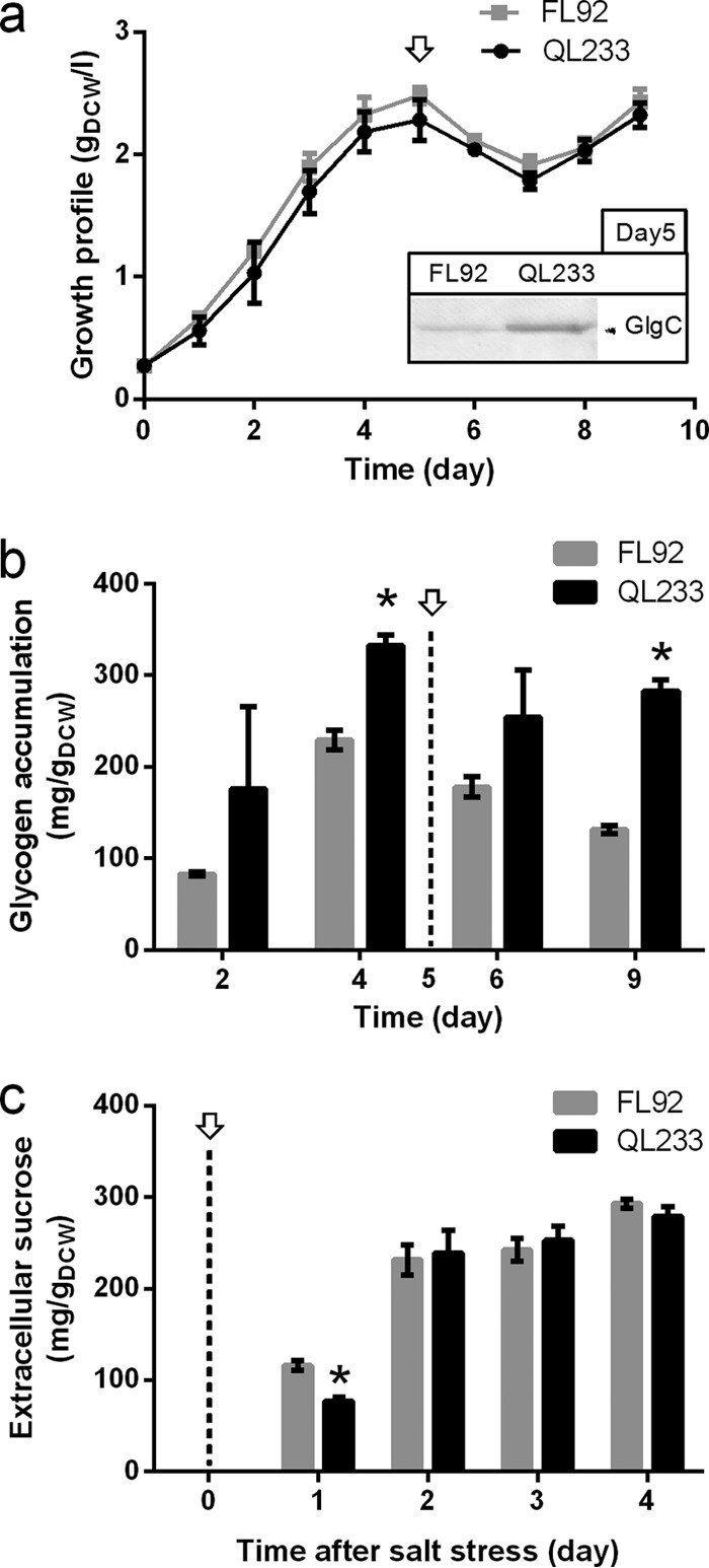 FIG 4