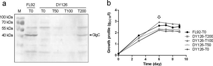 FIG 2