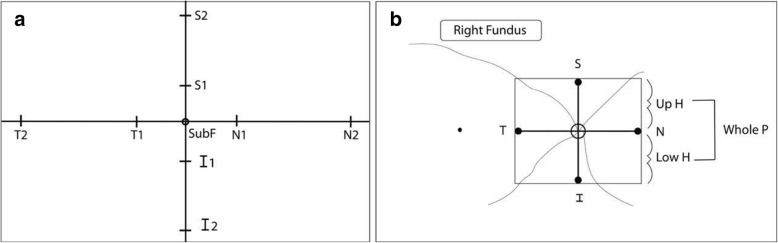 Fig. 1