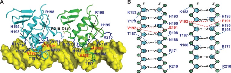 Figure 5.