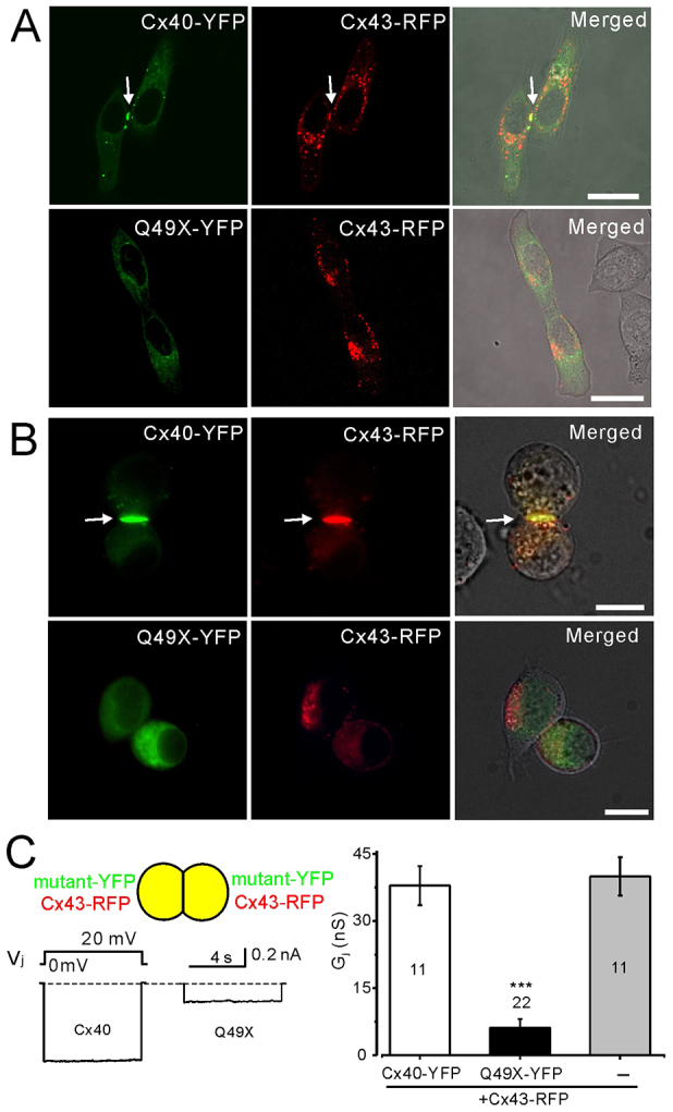 Fig. 4