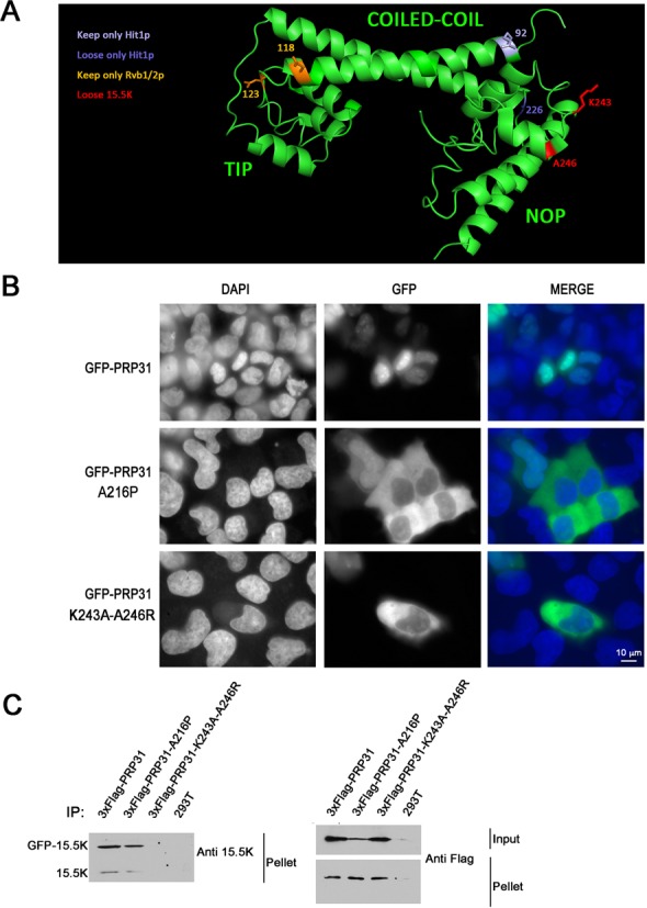 Figure 2.