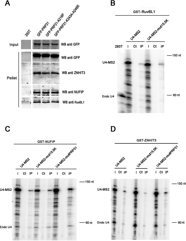 Figure 4.