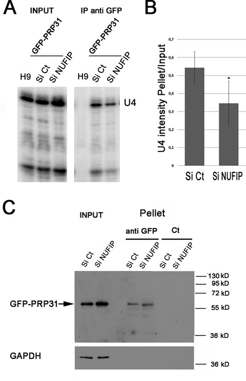 Figure 6.