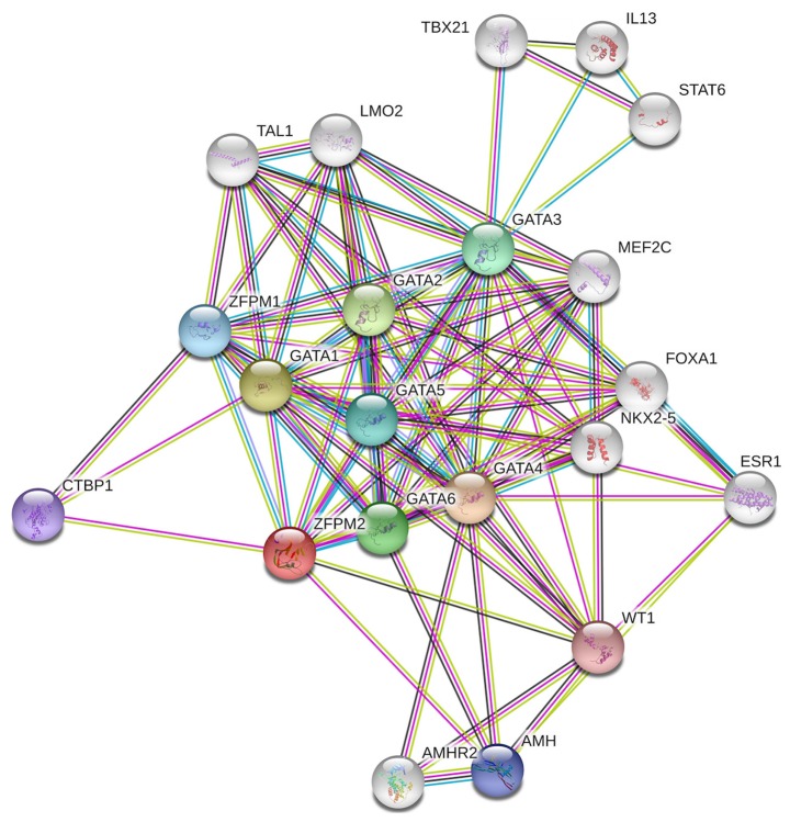 Figure 6.