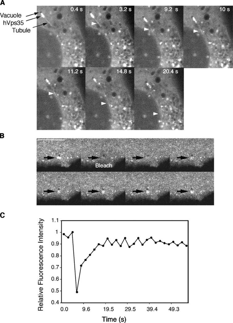 Figure 6.