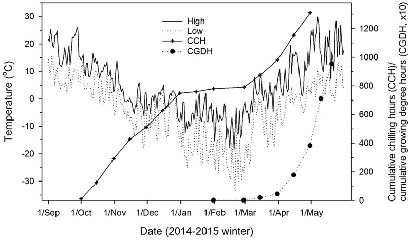 FIGURE 1