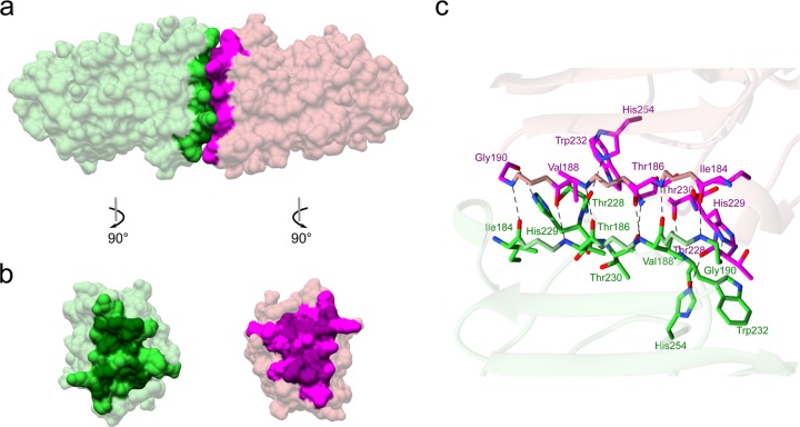 FIG 3