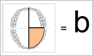 Figure (8)