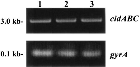 FIG. 5.