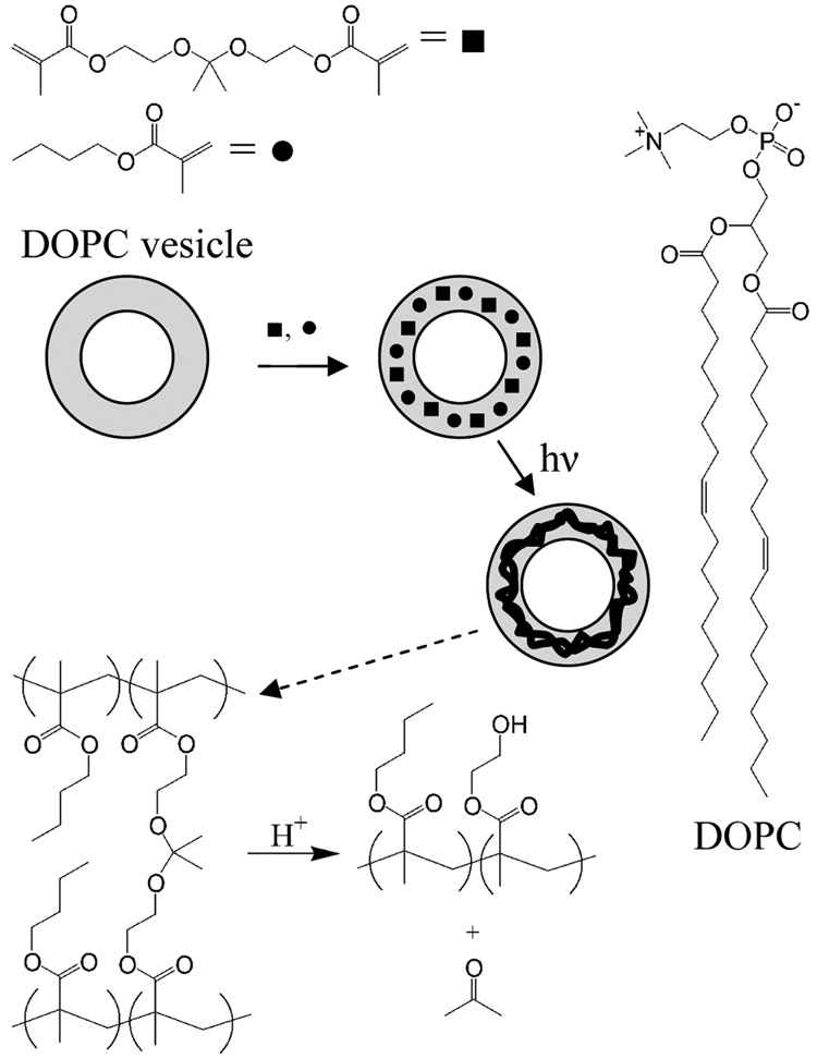 SCHEME I