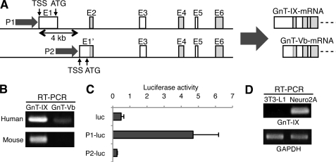 FIGURE 1.