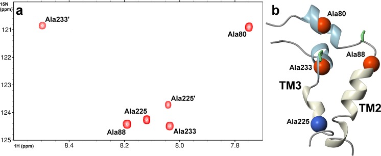 Fig 5