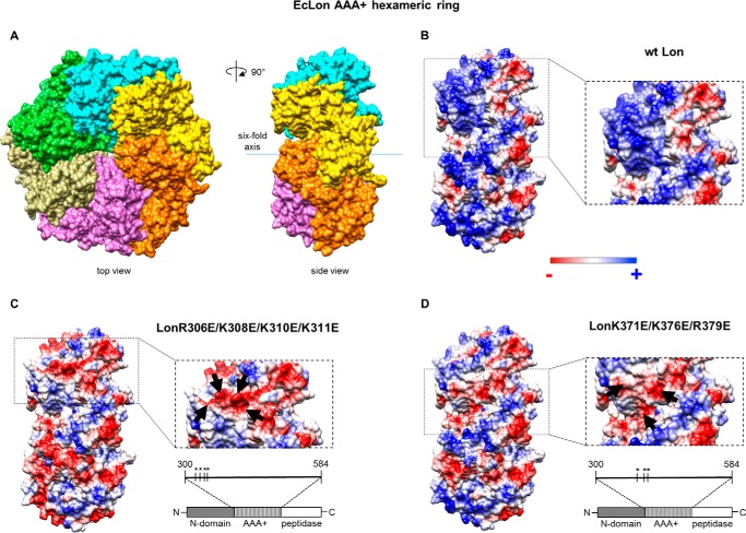 Figure 2.