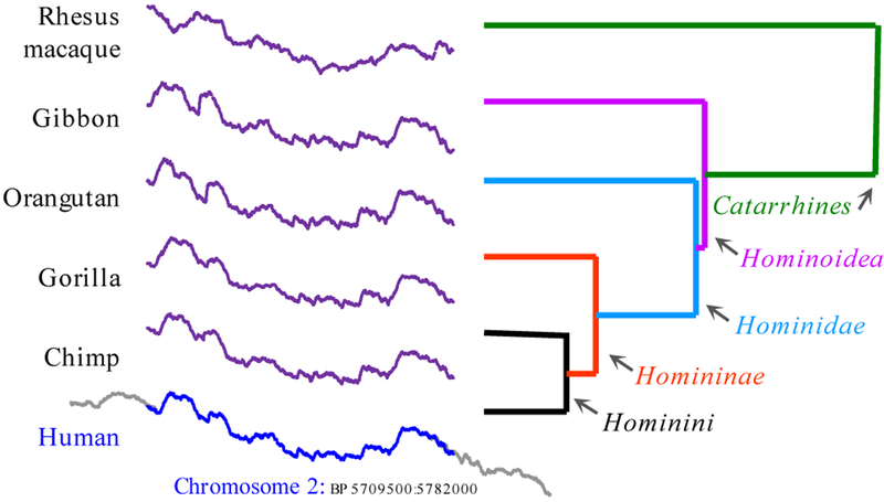 Figure 12: