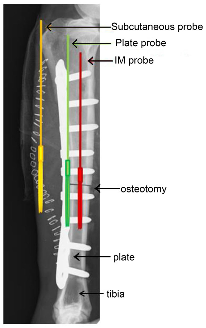 Fig. 1.