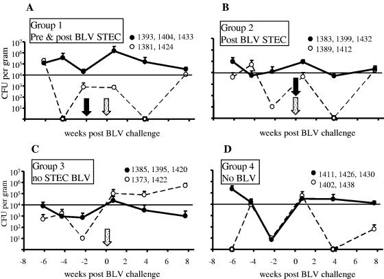 FIG. 3.