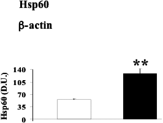 Fig 5.