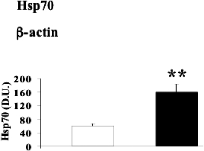 Fig 6.