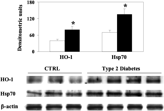 Fig 8.