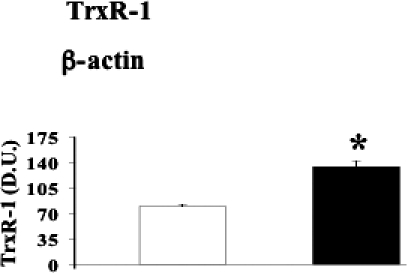 Fig 7.