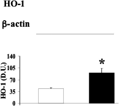 Fig 4.