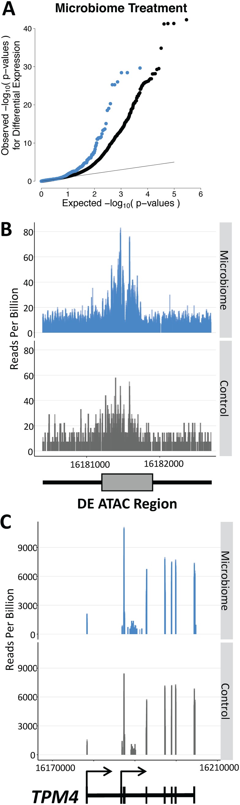 FIG 4