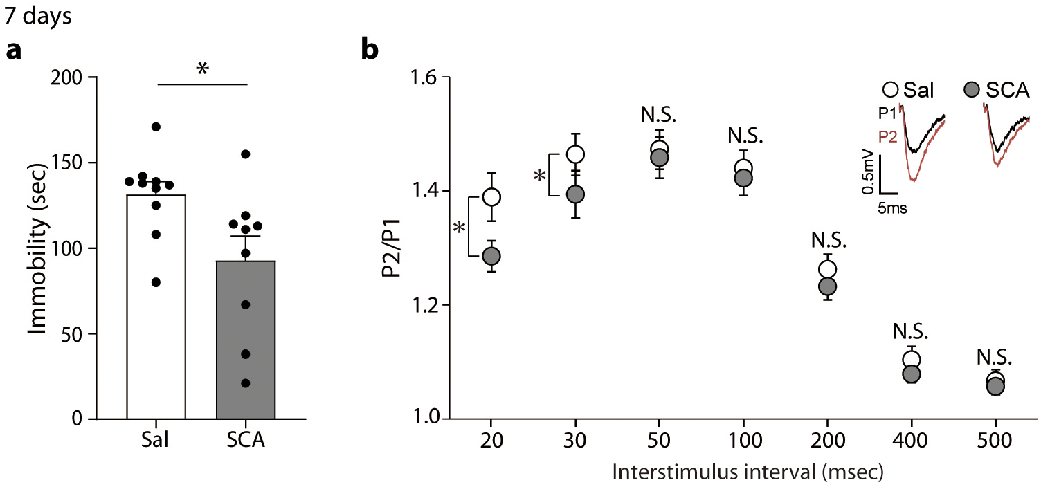 Extended Data Fig. 6