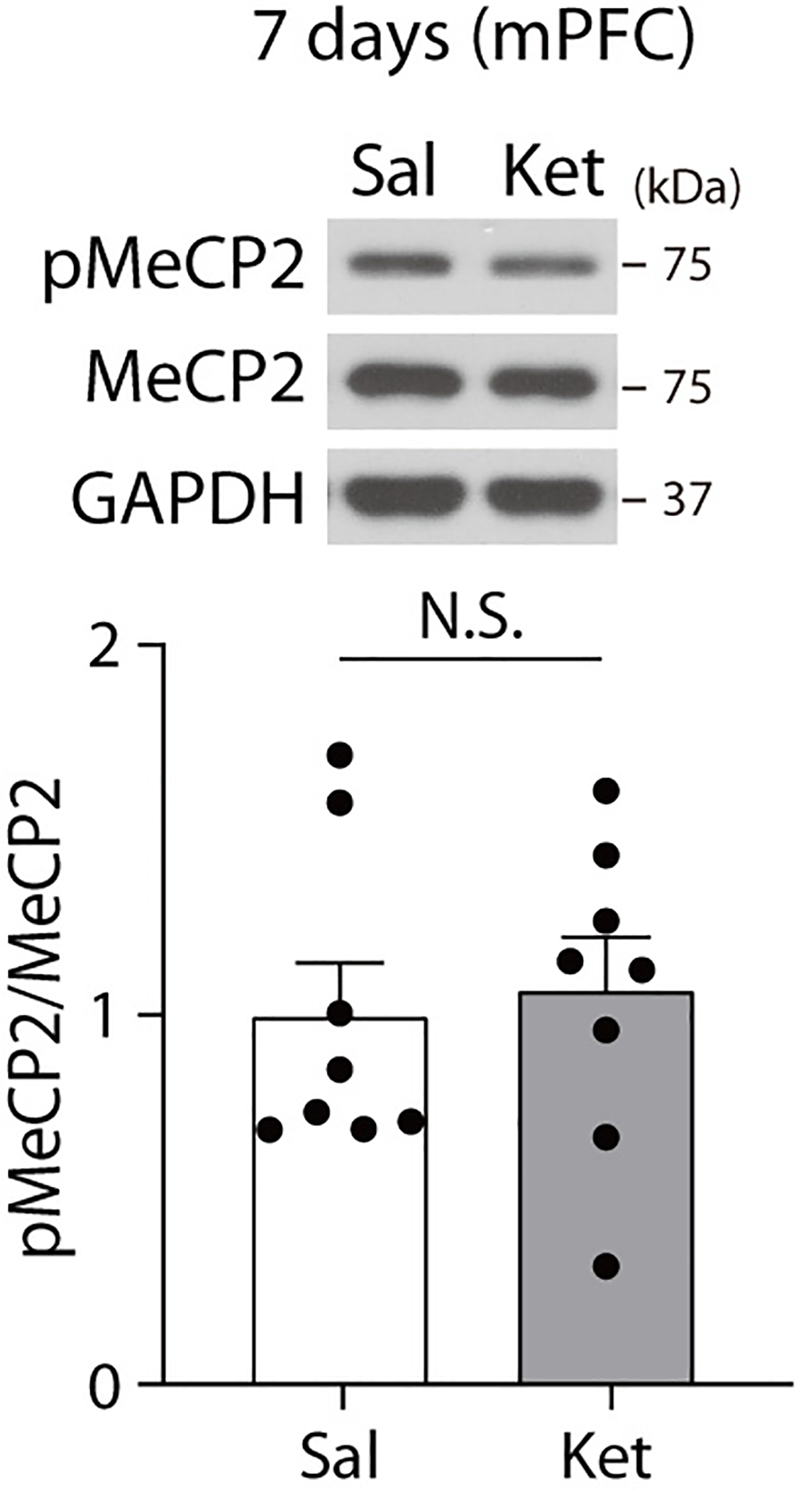 Extended Data Fig. 1