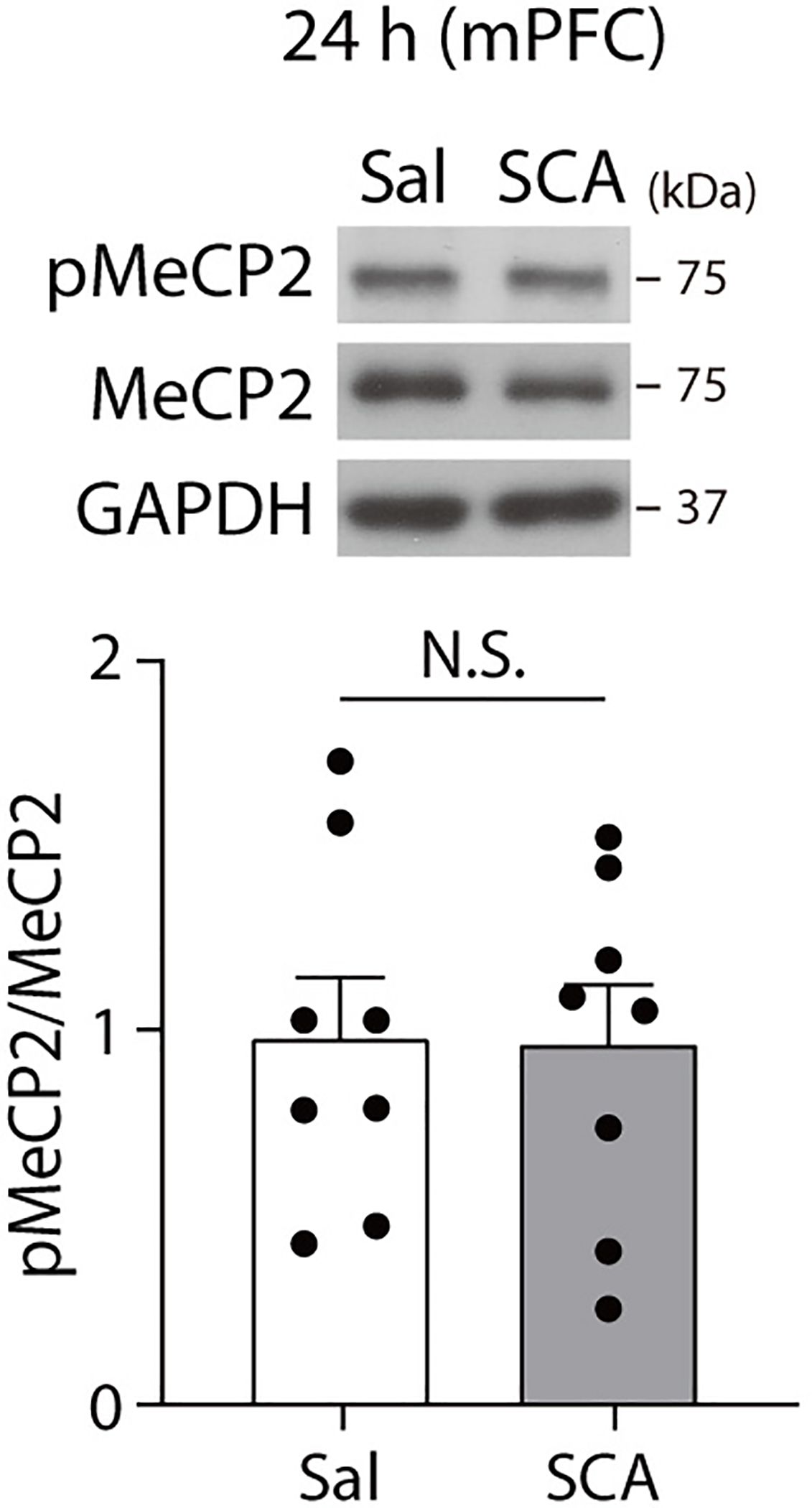 Extended Data Fig. 8