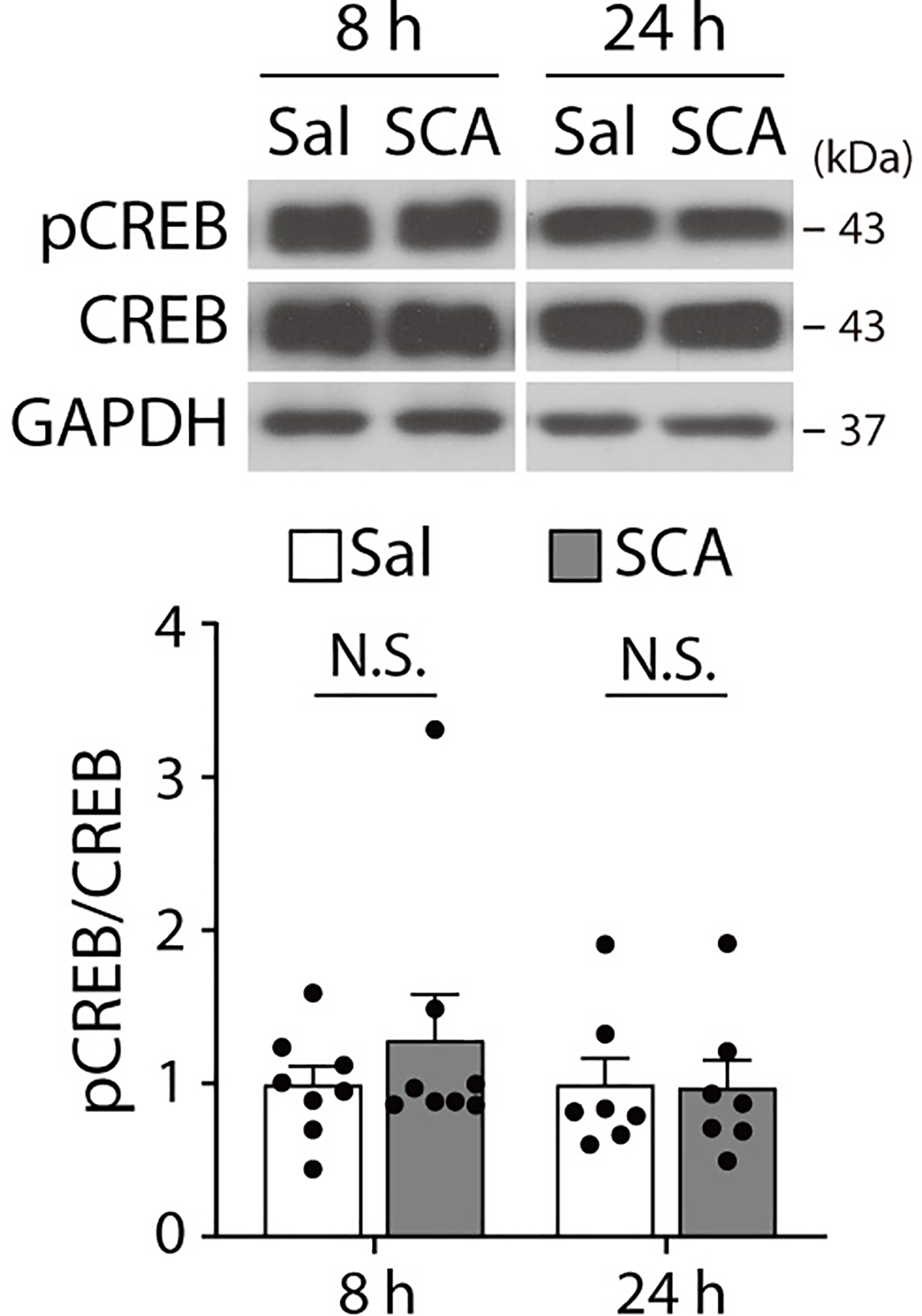 Extended Data Fig. 9