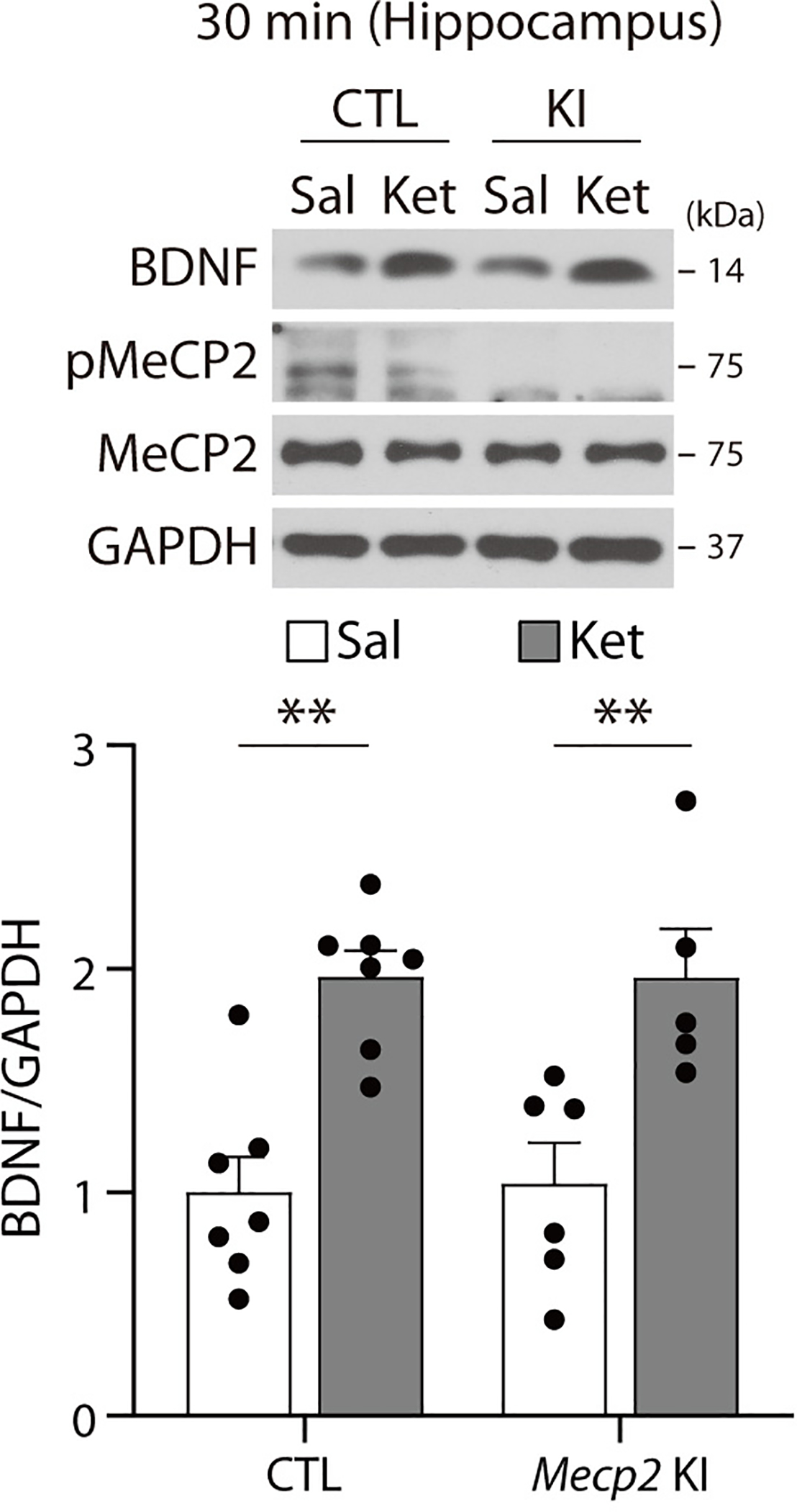 Extended Data Fig. 2