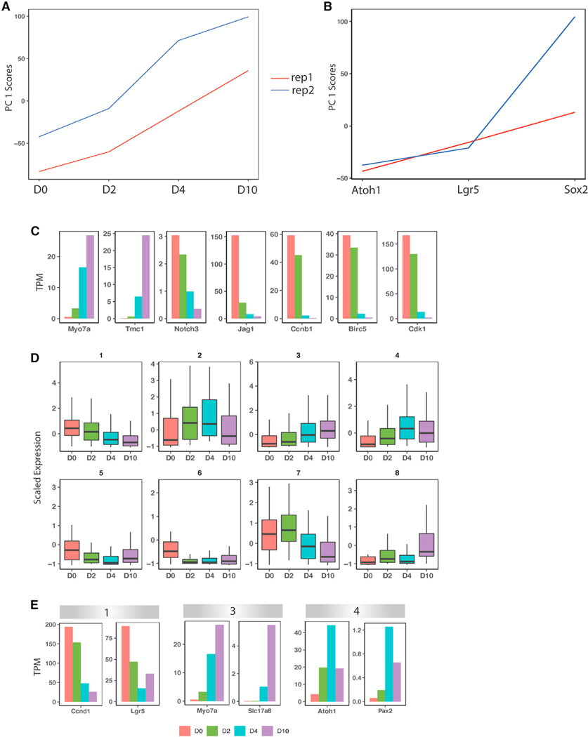 Figure 4.