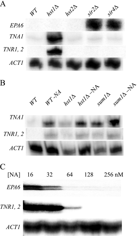 FIG. 5.