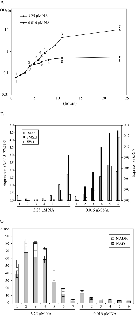 FIG. 6.