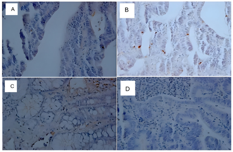 Figure 10