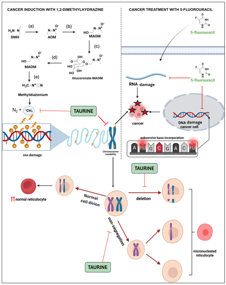 Figure 12