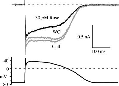 Figure 8