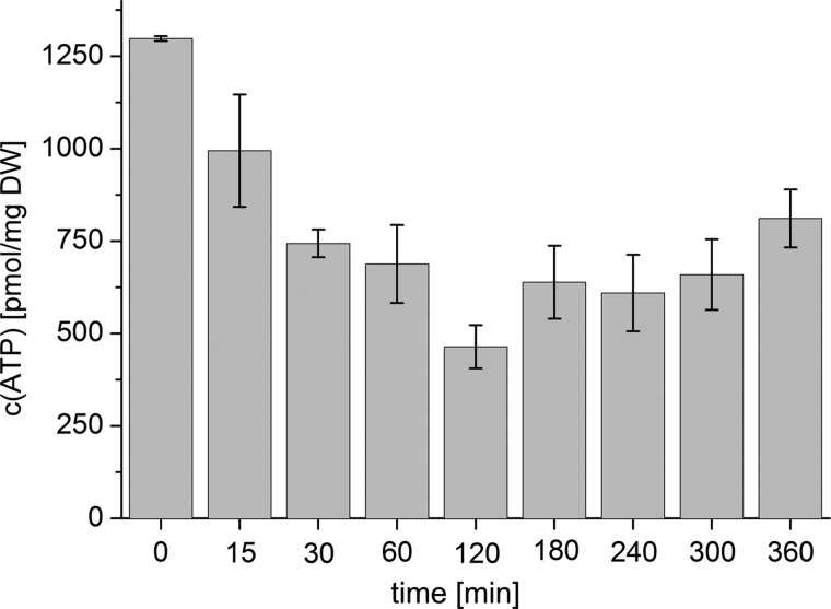 FIGURE 4.