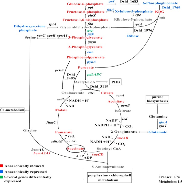 FIGURE 5.