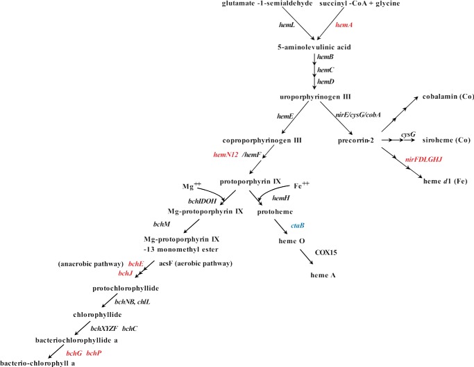 FIGURE 7.