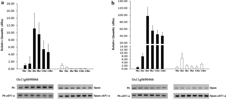 Fig. 4