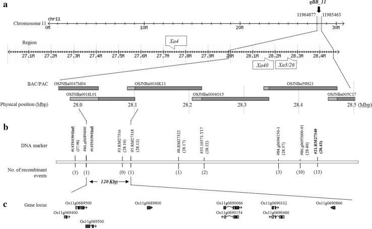 Fig. 3