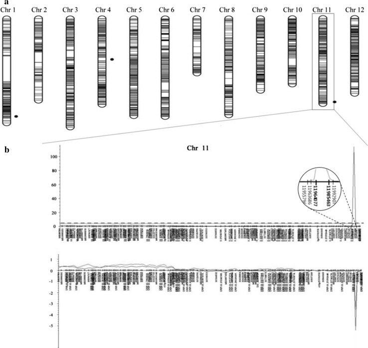 Fig. 2