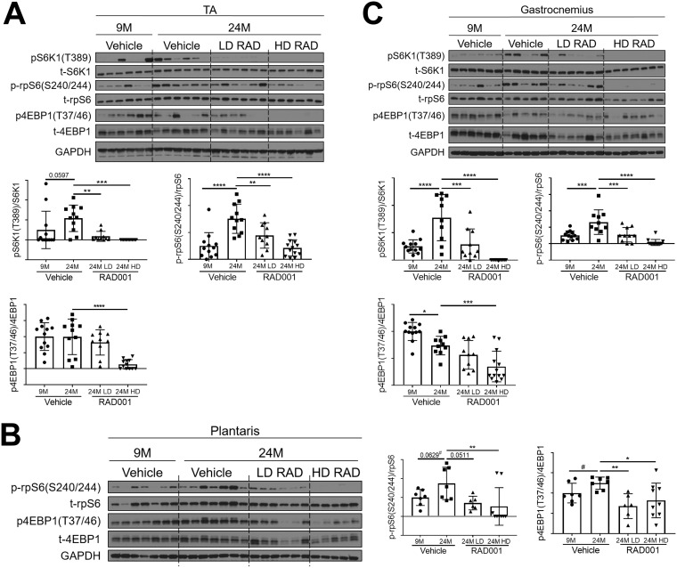 FIG 2