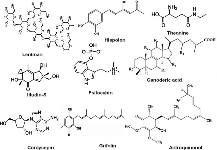 Fig. 2