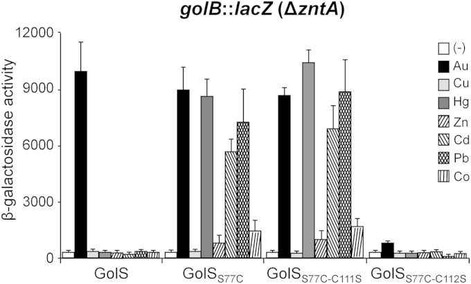 FIG 7