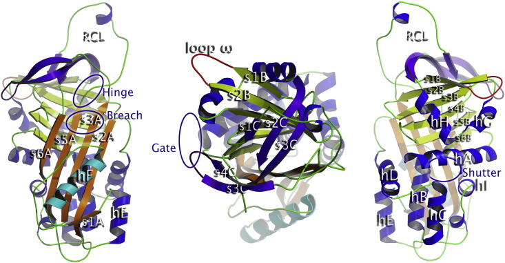 Fig. 1