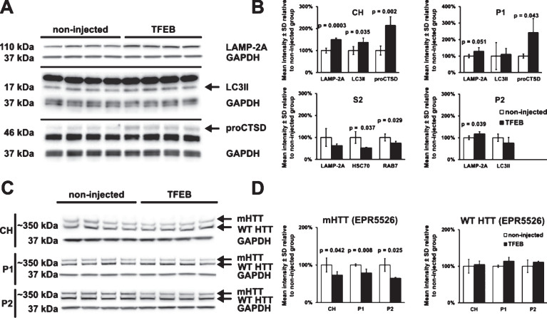 Fig.3