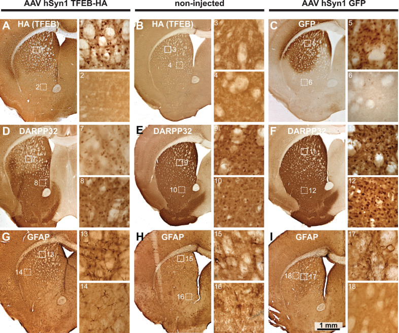 Fig.1